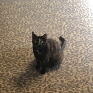 Meet your Posher, Kim